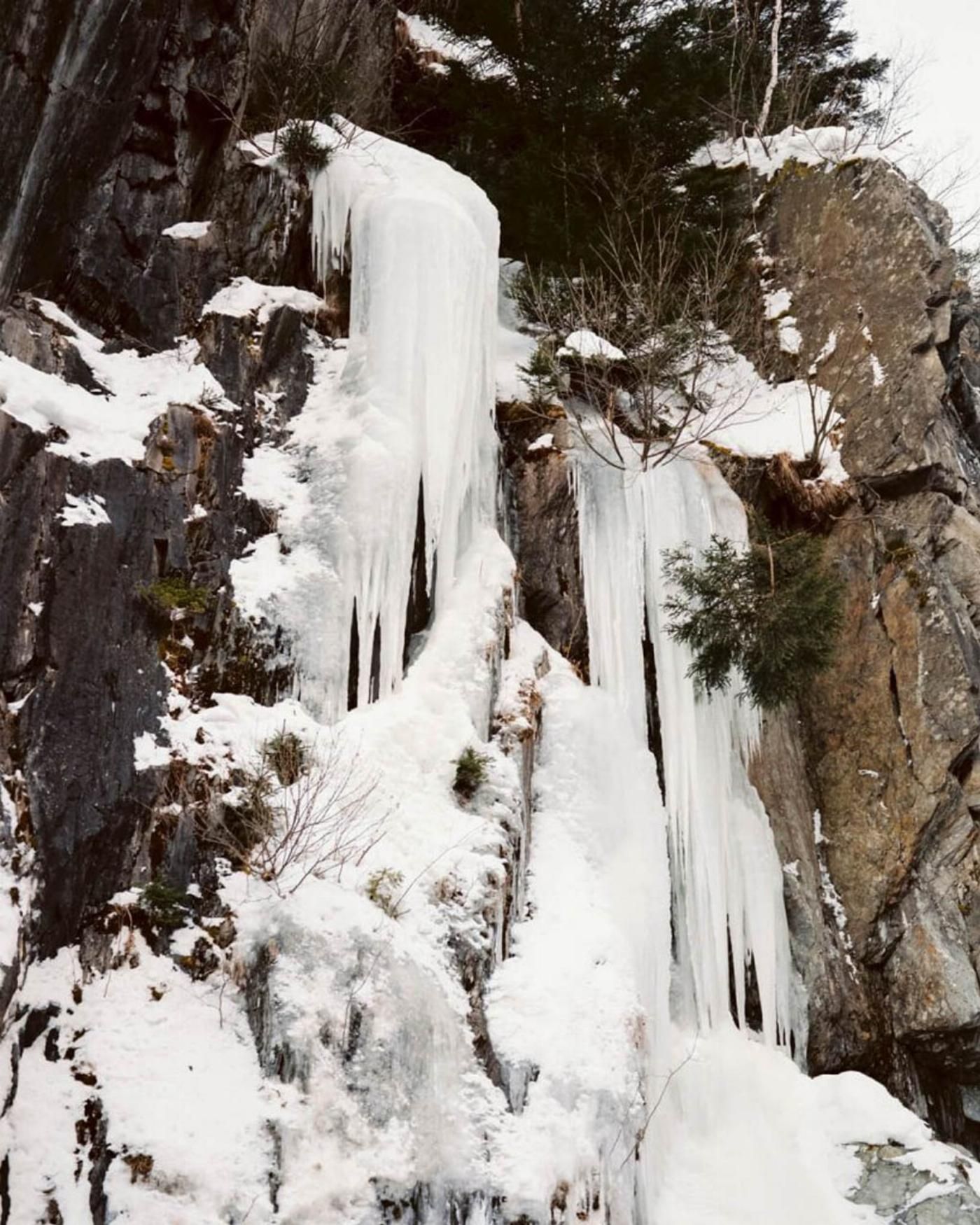 Pascual + Vincent158