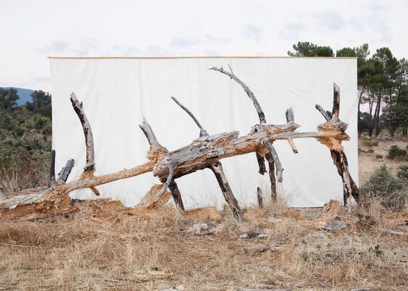 Ver de Acción 3 Antonio Guerra