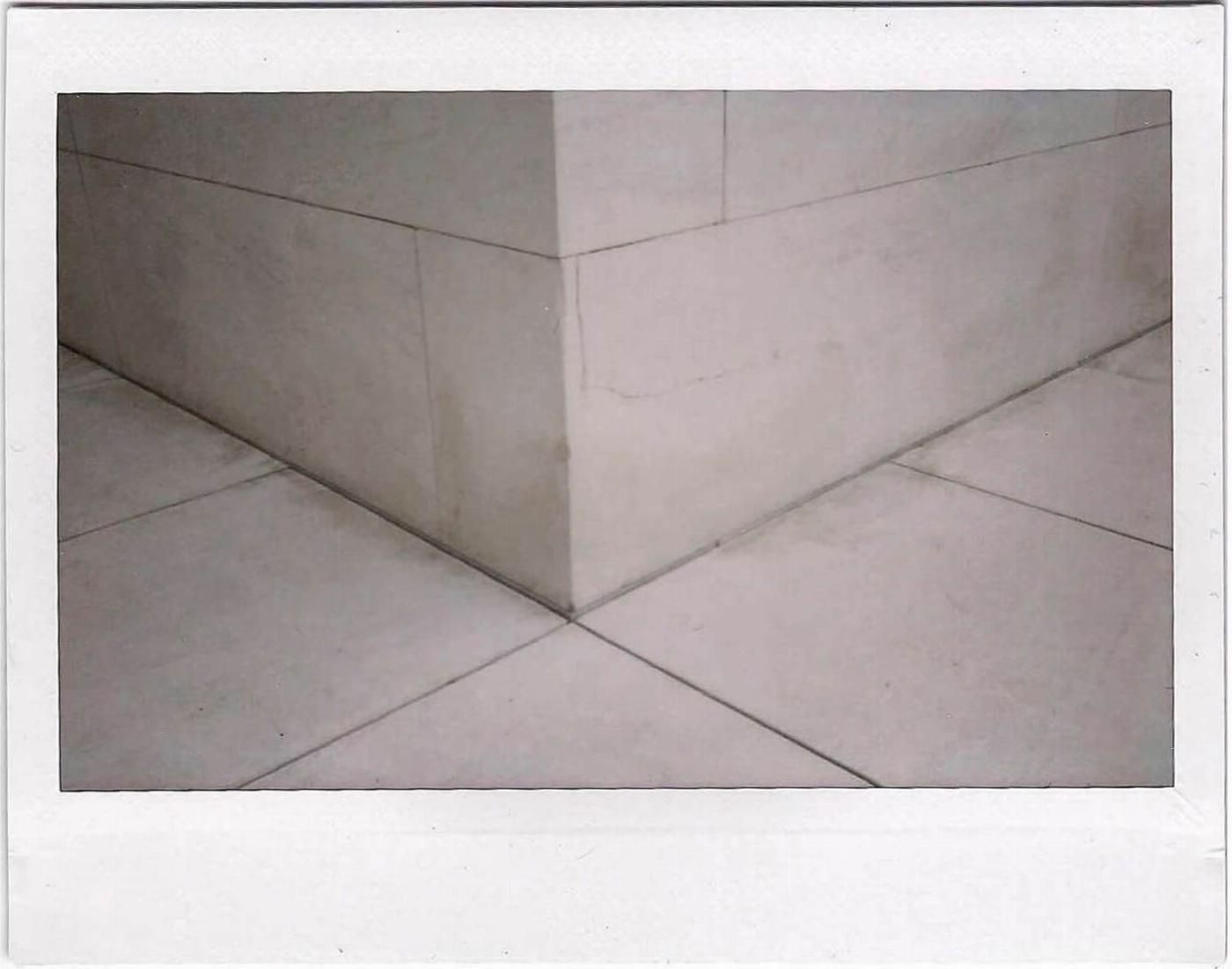 Sin Título, Fujifilm instant III Llorenç Ugas Dubreuil