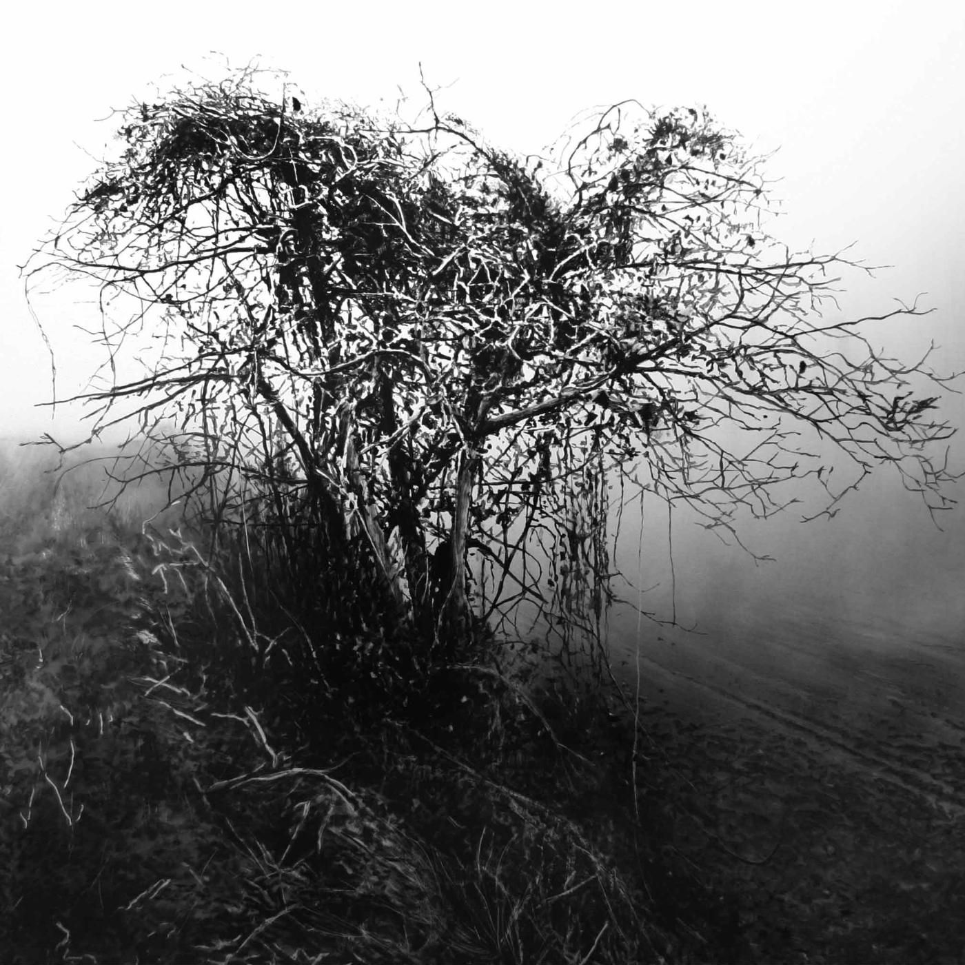 artista neofigurativo david casals