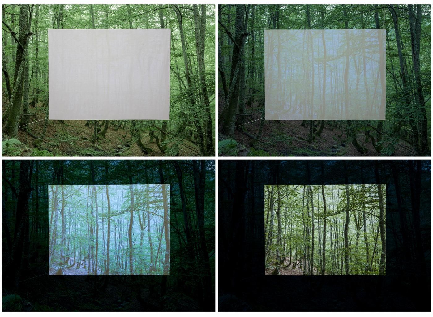 paisaje fotografia escenificada