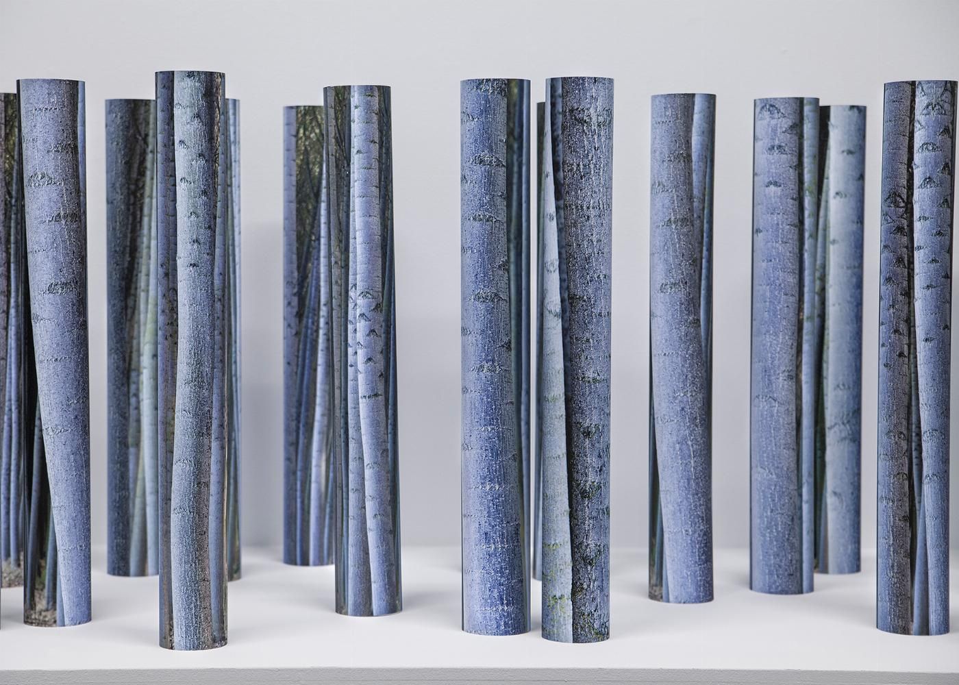 AntonioGuerracomportamiento10