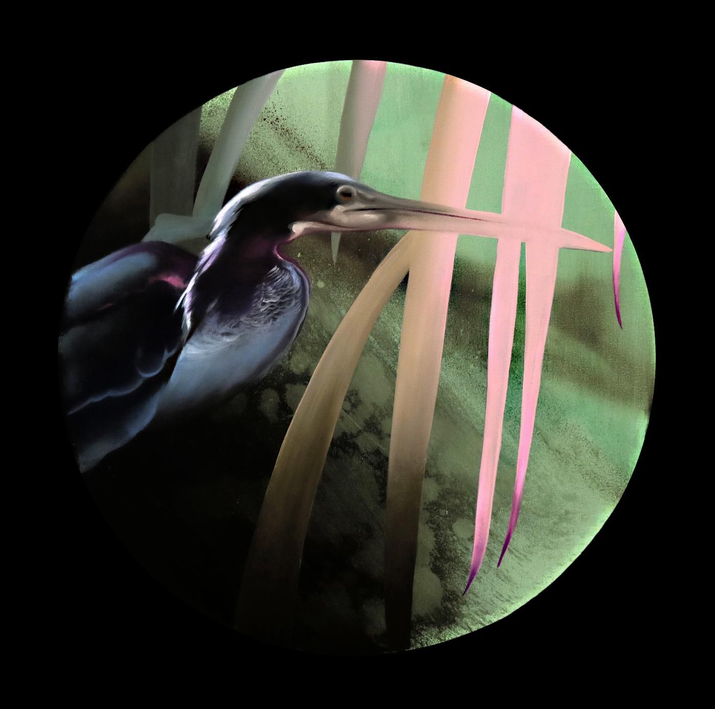 parajo neofiguracion