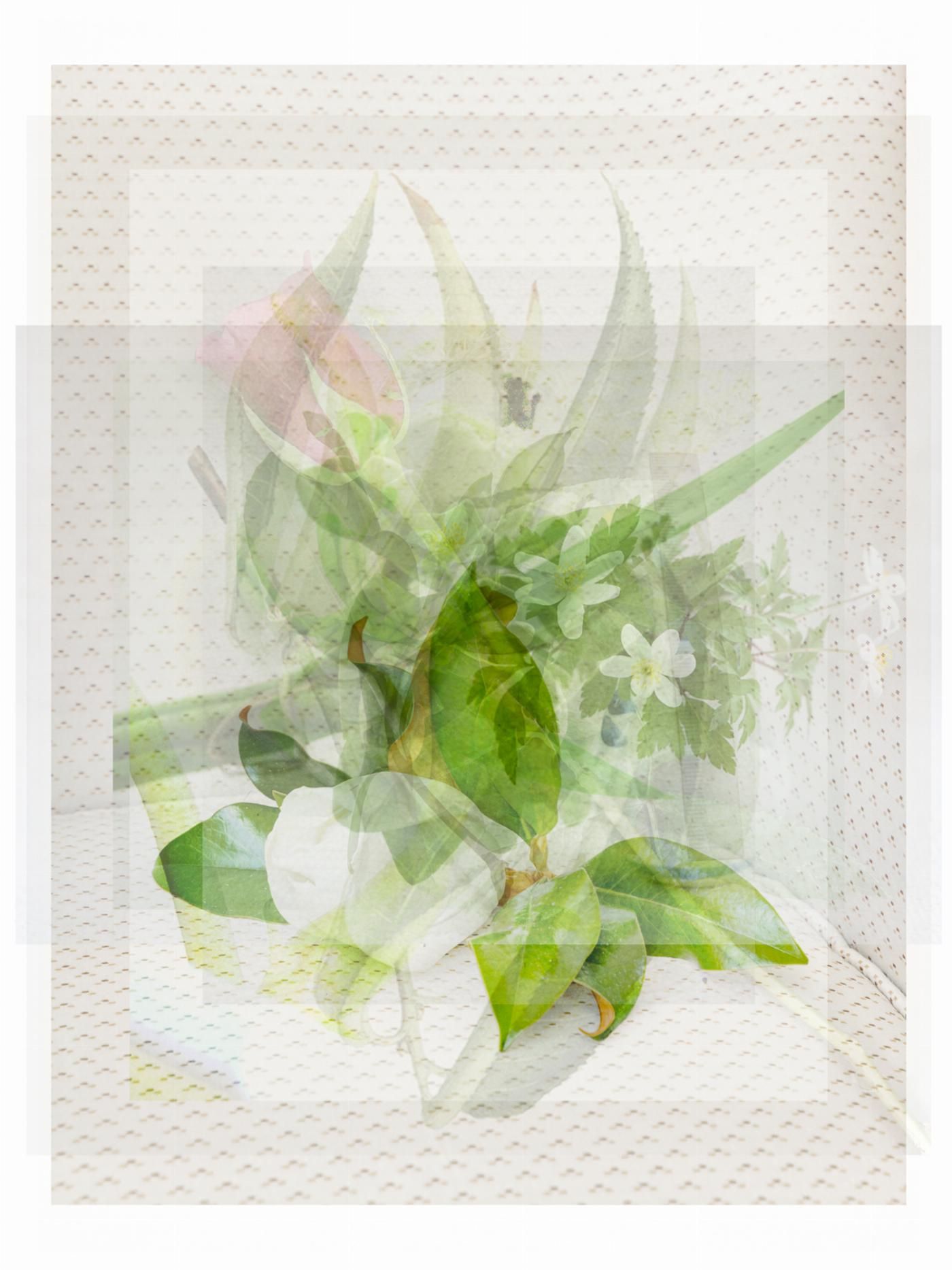 fotografia mind games