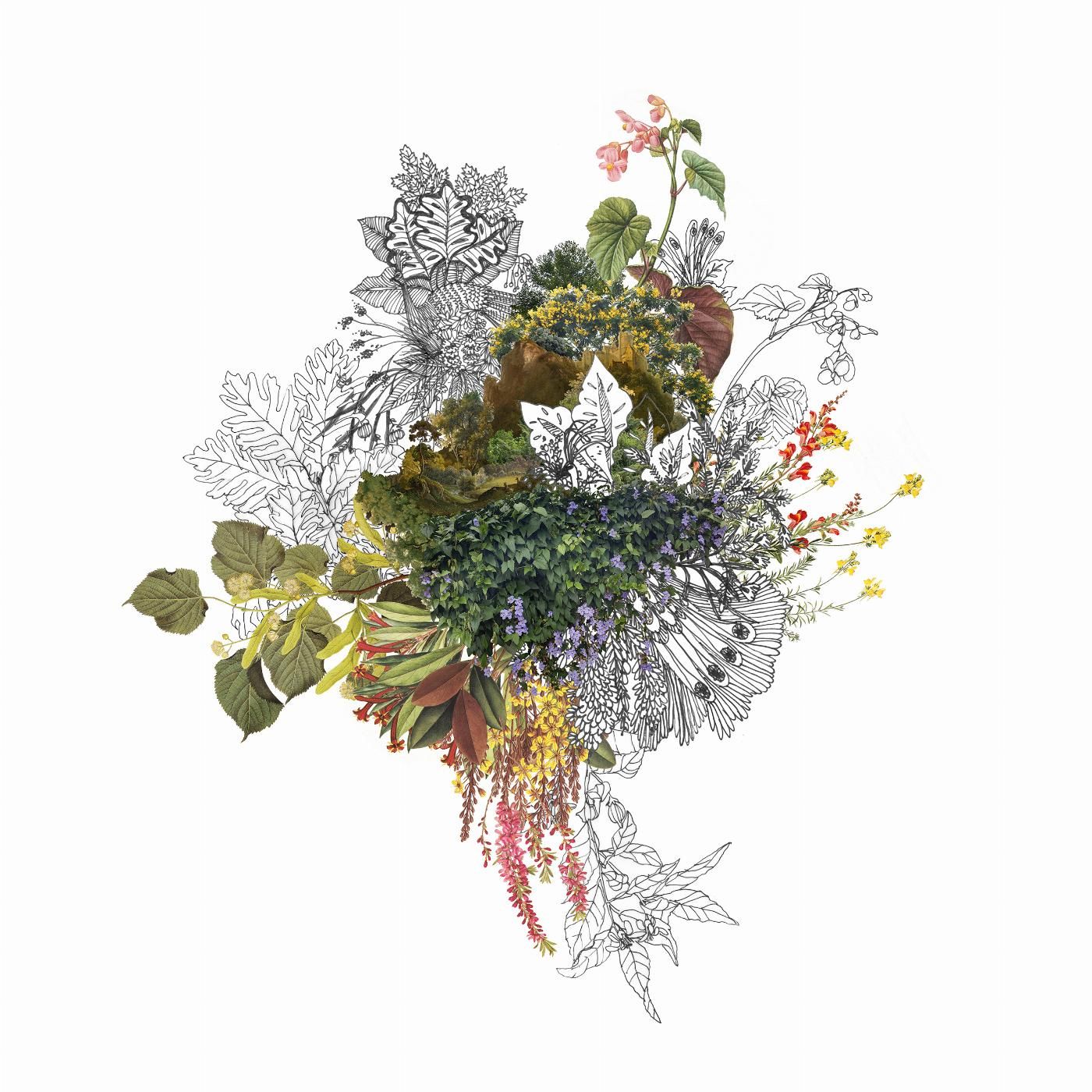 Decorar espacio con dibujo