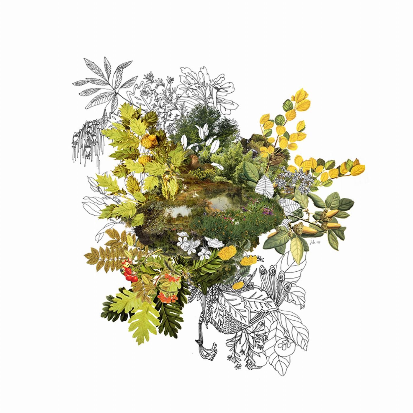 Arte digital naturaleza